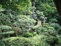 Sanzen-In garden.JPG