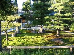 Chishaku-In grounds.JPG