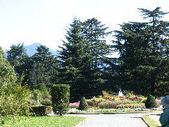 botanic garden 2.JPG
