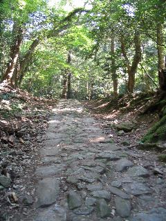 Pauline path Nara.JPG