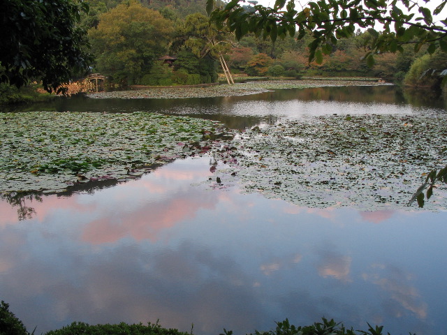 Ryoan-Ji lake.JPG