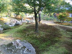 Kinkaku-Ji garden C.JPG